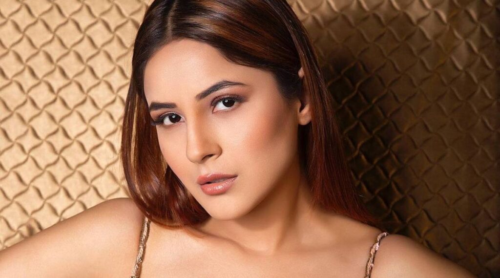 Shehnaaz gill – Movies, Biography, News, Age & her Networth